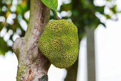 《Sand》预定今夏B测 构建行走机甲基地PvPvE战斗
